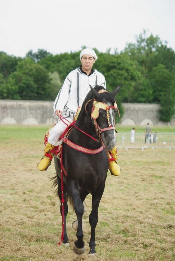 Le Moussem des Cultures 2008 153.jpg